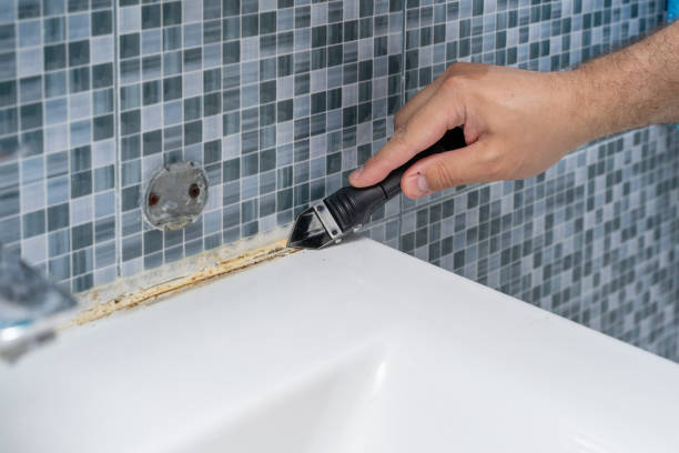 Best Black Mold Remediation in Lake Delton, WI