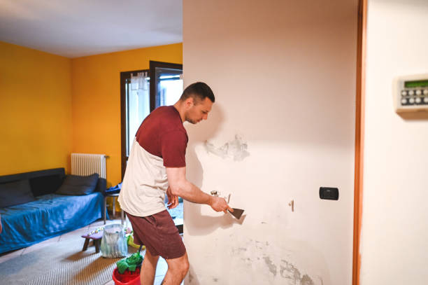 Reliable Lake Delton, WI Mold Remediation Solutions